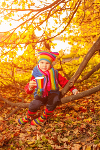 秋天公园的孩子。带着落叶的可爱男孩。童年家庭和孩子的概念在户外笑。