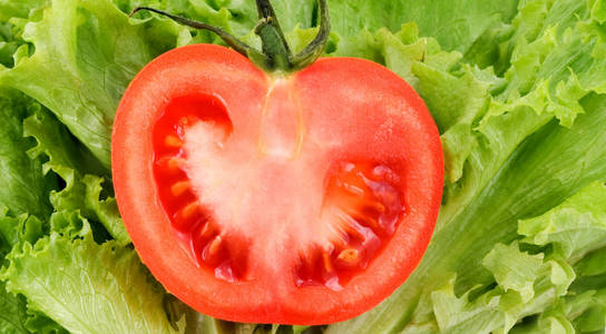 番茄半叶，鲜绿色沙拉，白色背景，新鲜蔬菜