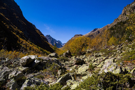 五颜六色的秋天风景在高加索山。阳光明媚的早晨场面与山