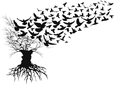 从白色背景中分离出的鸟飞离死的树枝
