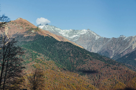 山里的风景。 罗莎科托。