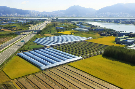 沿韩国路布桑的农业用地.照片