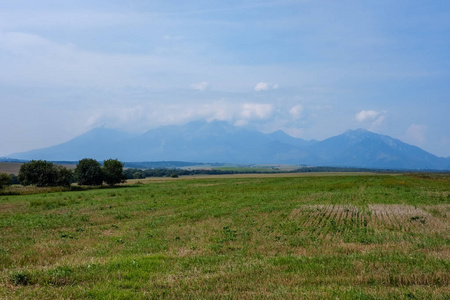 西部喀尔巴阡山天际线，绿色的田野和森林前景