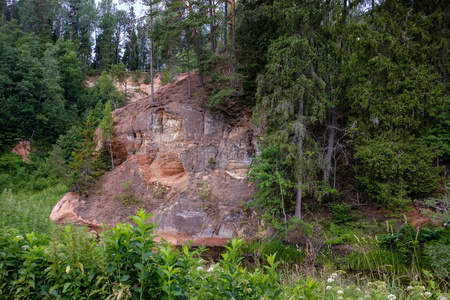 夏季绿色天气下森林深处的岩石河流，有砂岩悬崖和旧的干木树干。 塞斯附近的拉脱维亚亚马塔河