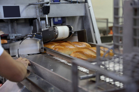 面包和糖果厂的工业设备和机械