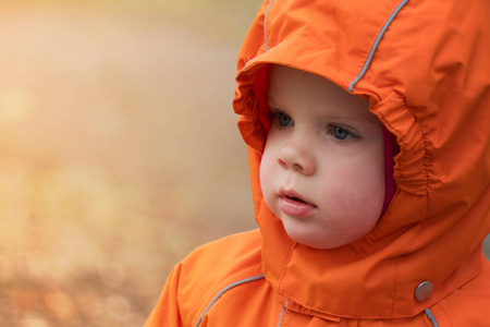 在阳光明媚的秋日，一个穿着风帽和温暖衣服的孩子的画像