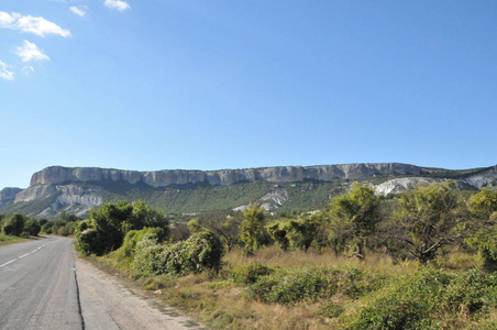 克里米亚天山坡树路