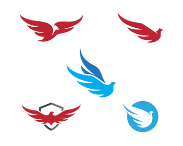 猎鹰标志模板矢量插图设计照片