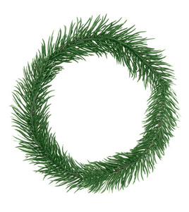 字母o英文字母从圣诞树树枝绿杉收集。 孤立在白色背景上。 概念ABC设计标志标题文字