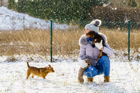 年轻的女人在冬天玩得很开心。 在下雪的时候，一只母狗在玩她的三只纯种小狗