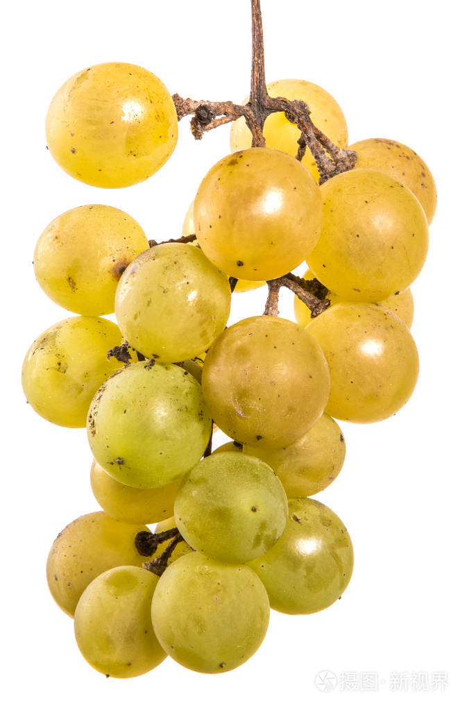 一串成熟的黄色葡萄. 在白色背景上
