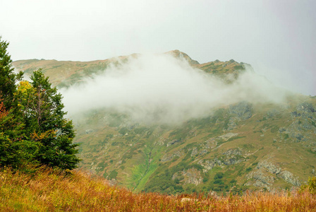 白种人高地的景观，山坡上有云，秋天的草地，前景是树木