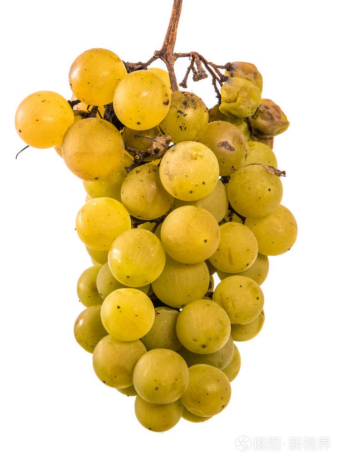 一串成熟的黄色葡萄在白色背景上