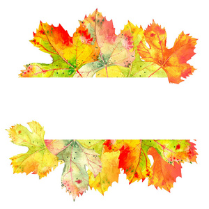 优雅的秋天葡萄藤叶的边界框架。在白色背景上查出的秋天叶子。逼真的水彩手绘插图。文本的空白