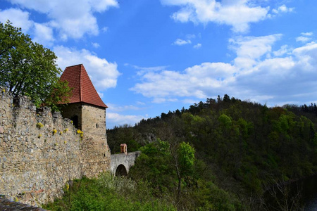 兹维科夫旧城堡南波西米亚
