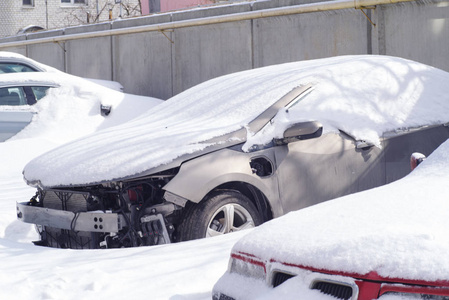 雪中车