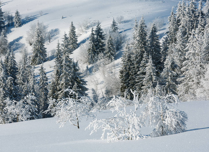 冬季平静的山景，山坡上有美丽的霜树和雪堆乌克兰喀山脉