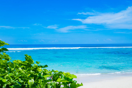 在青绿色海洋/海洋上的异国景色.照片