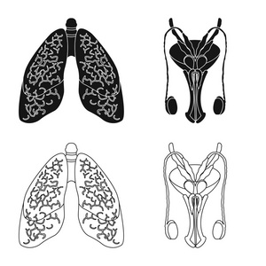 人体和人类标志的孤立对象。网络的身体和医疗股票符号集