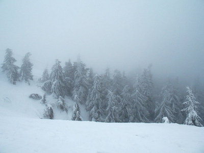 白雪覆盖的山岭，浓雾笼罩的森林