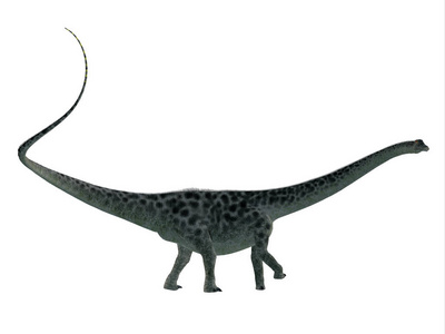 双足恐龙是侏罗纪时期生活在北美的一种蜥脚类食草恐龙。