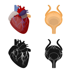 人体和人体图标的矢量图示。网络的身体和医疗股票符号集