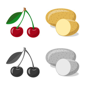 植物和水果符号的向量例证。蔬菜和素食的集合向量例证