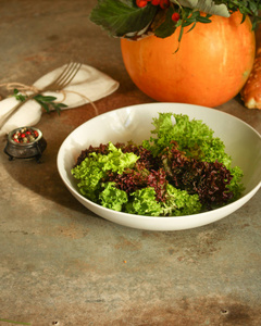 新鲜生菜Leavessalad放在木制桌子背景上的白色盘子里。 上面的风景。 复制空间
