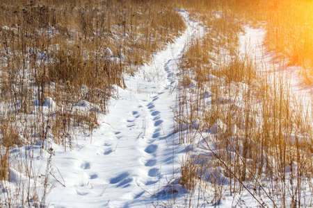 雪覆盖的道路在田野里变调