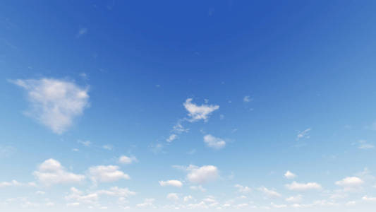 花园里的玫瑰很漂亮阳光明媚