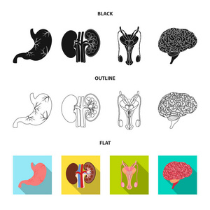 物体和人体图标的孤立对象。身体和医学股票向量例证的汇集