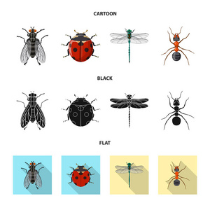 昆虫和飞行标志的孤立对象。昆虫和元素存量矢量图的采集