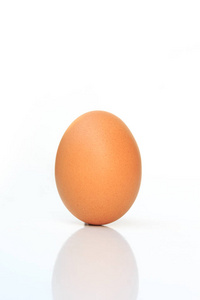 白色背景上的鸡蛋