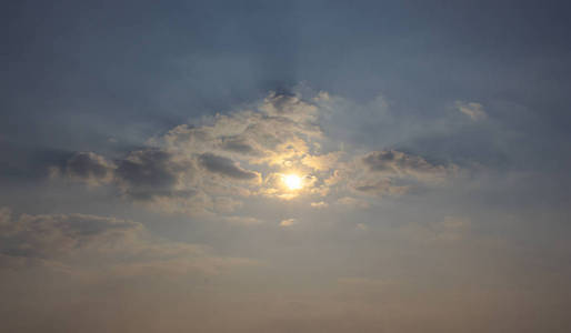 清晨日出稻米景观聚焦阳光图片