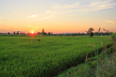 夕阳米注重阳光景观图片