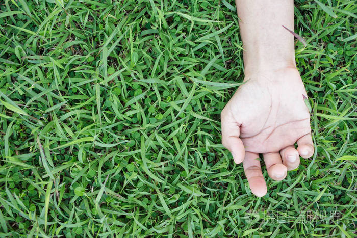 独特的视角手草放松快乐