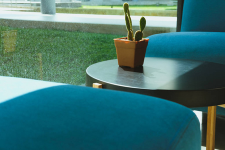  blue sofa couch near window in living room