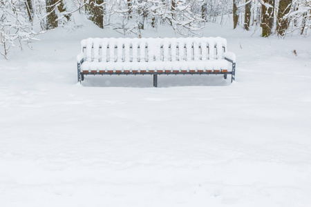 大雪后的冬季森林