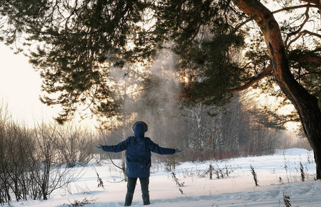 日落时, 人类在冬天的森林里扔雪。后视图