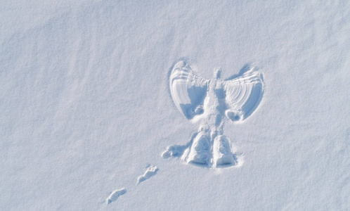 雪天使印在白雪覆盖的地区