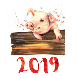水彩卡片有趣的新年猪和刻字2019年。 真正的水彩。