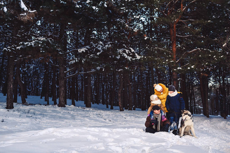 愉快的欧洲年轻的家庭与大狗摆姿势反对冬天松树林