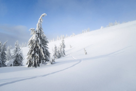 冬季背景与复制空间。 山林里下雪的天气。 雪中的云杉树和小径