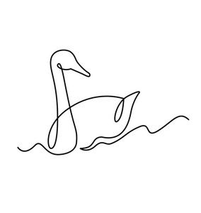 天鹅连续单线矢量绘图照片