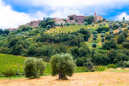 Abate, little village near Montalcino in Tuscany, Italy