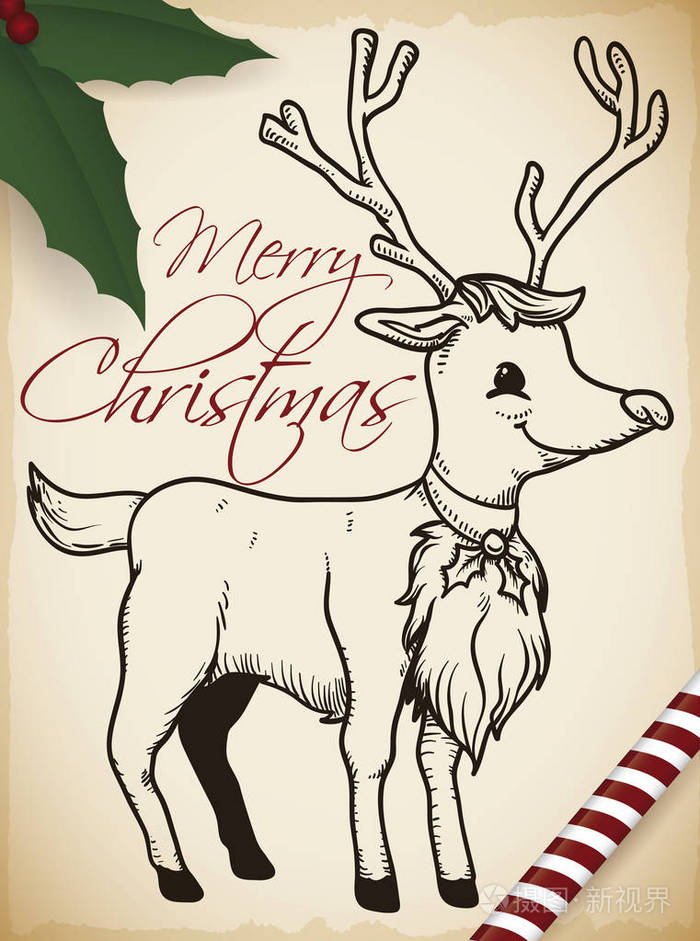 可爱的驯鹿在手画风格的卷轴上与糖果和冬青叶为圣诞节庆祝
