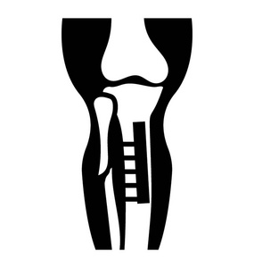 人体骨骼关节在一个坚实的图标图片