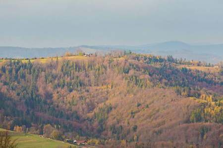 秋天的风景照片拍摄在波兰贝斯基迪山，格拉波瓦。