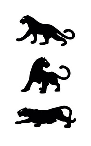 豹矢量标志设计为业务图片