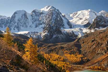 明亮多彩的黄秋山湖俄罗斯西伯利亚阿尔泰山丘崖岭。